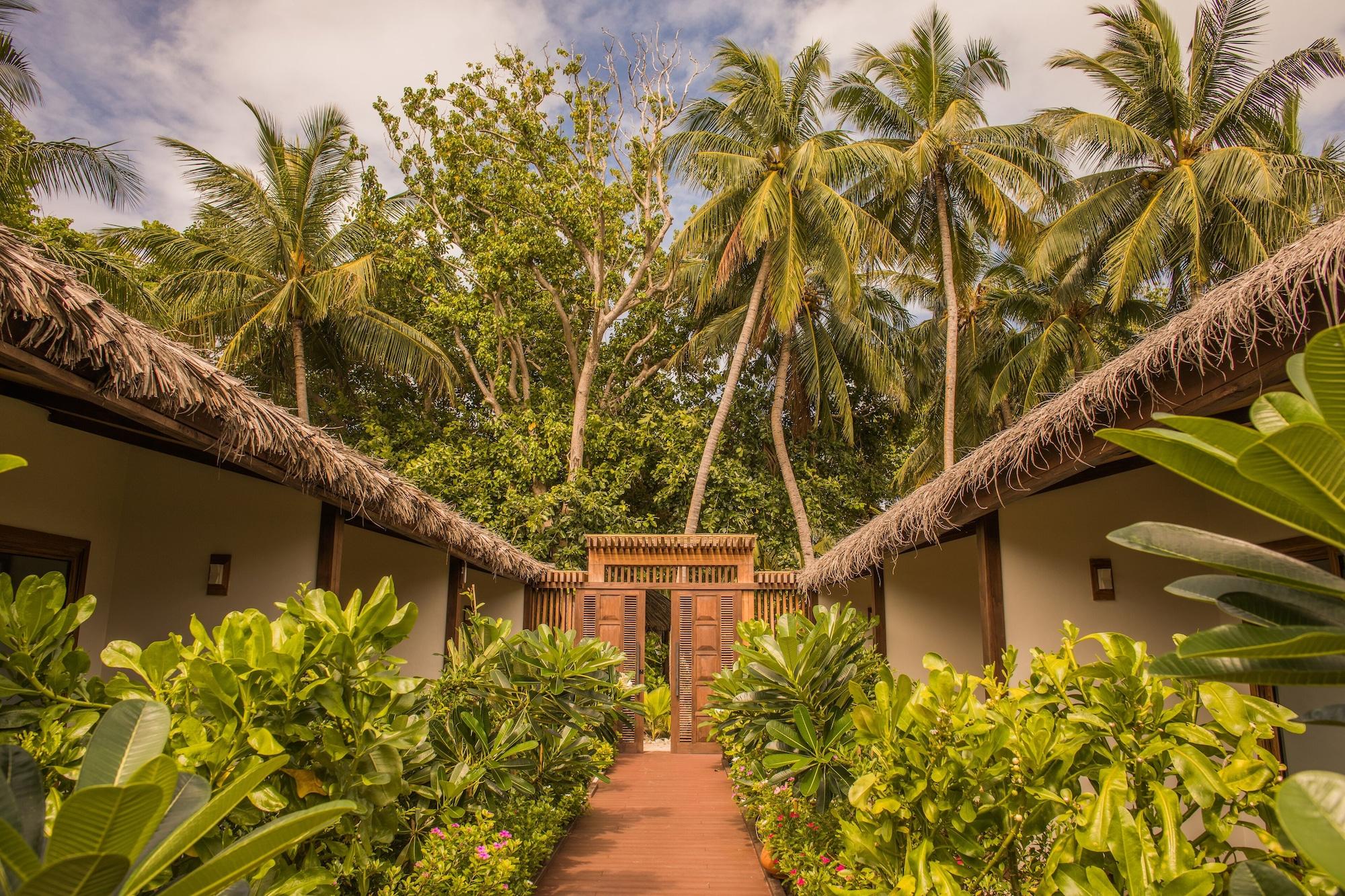 गेस्ट हाउस Plumeria Maldives Thinadhoo (Vaavu Atoll)