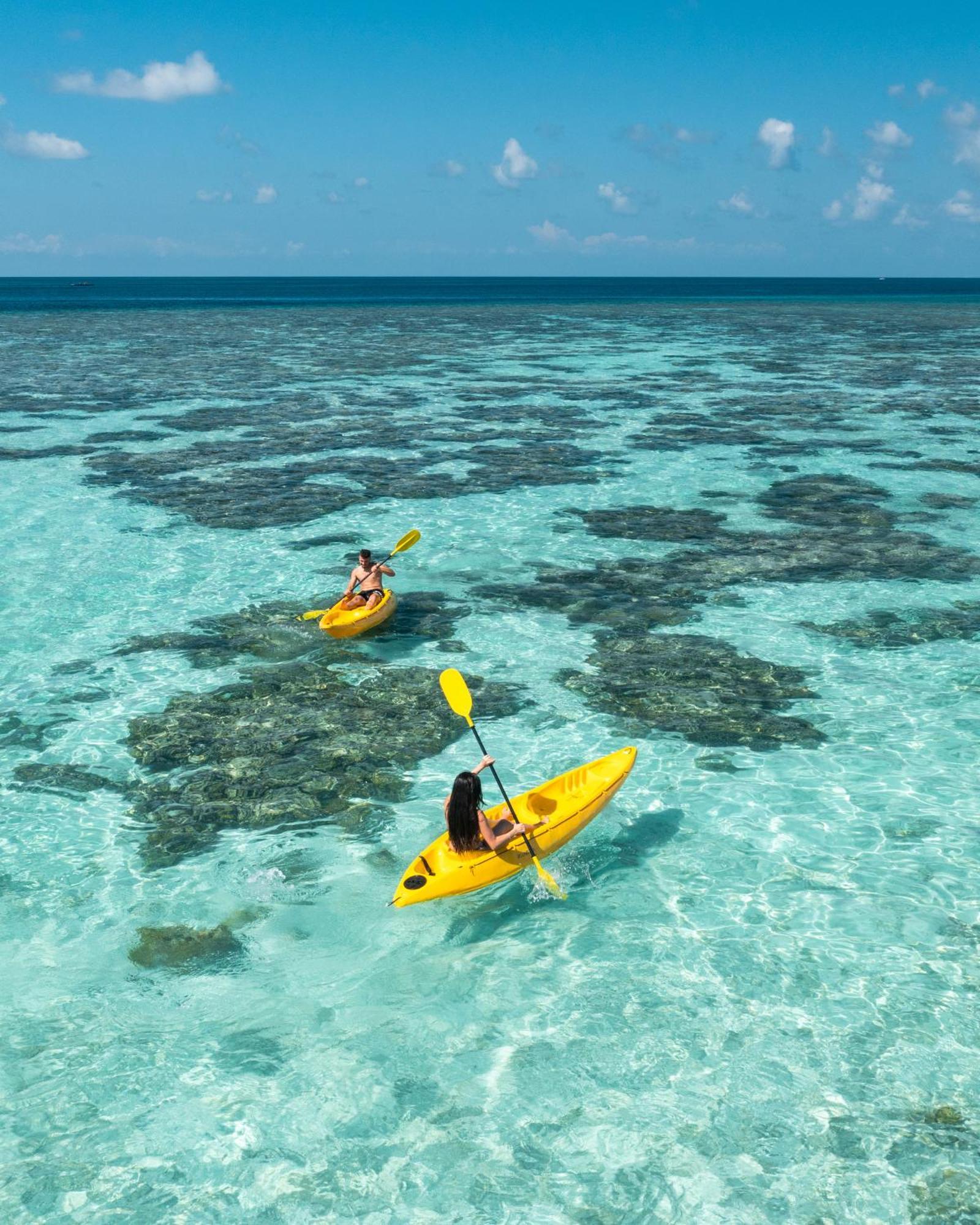 गेस्ट हाउस Plumeria Maldives