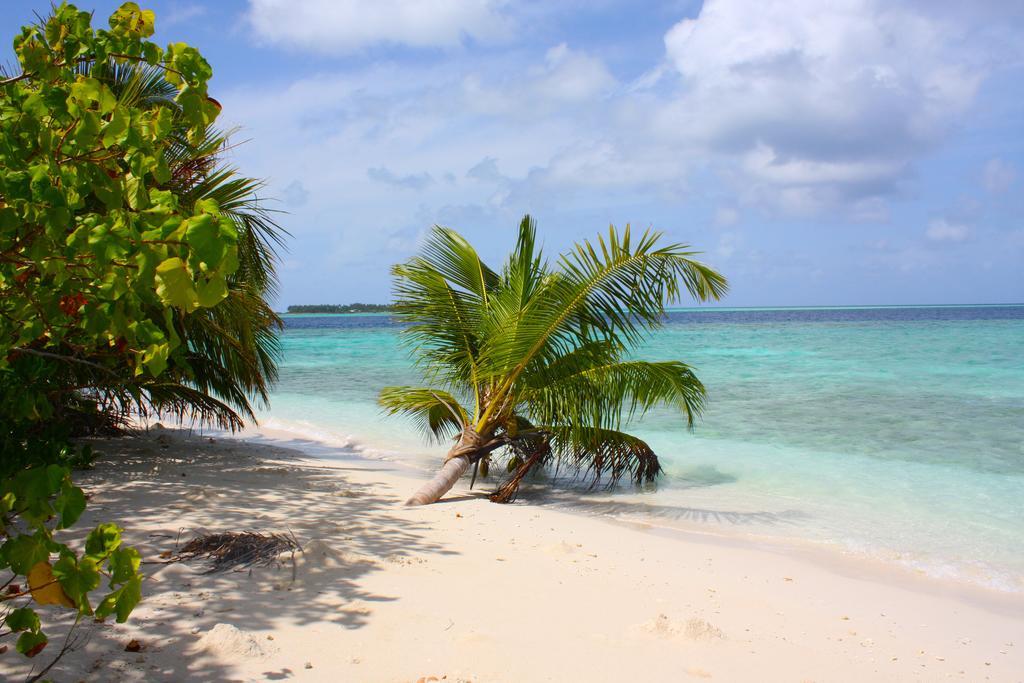 Plumeria Maldives