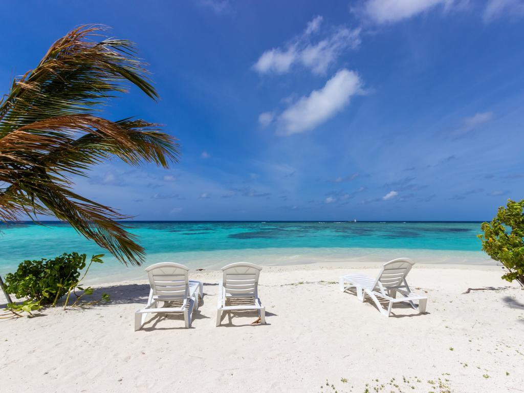 Plumeria Maldives गेस्ट हाउस 4*