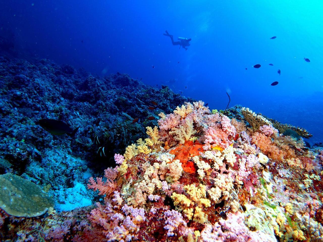Plumeria Maldives 4* Thinadhoo (Vaavu Atoll)